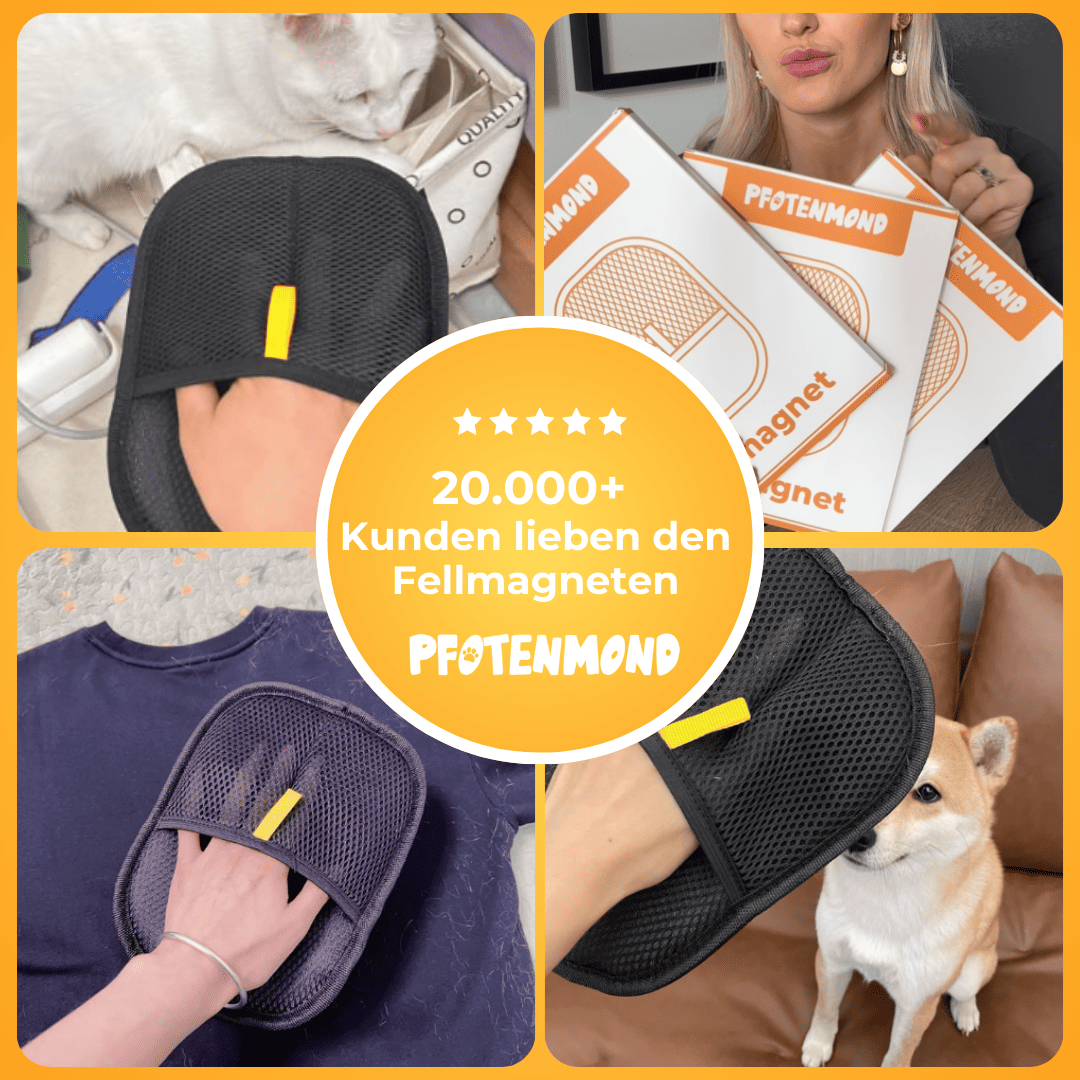 Μαγνήτης Τριχών – Δημοφιλές Προϊόν