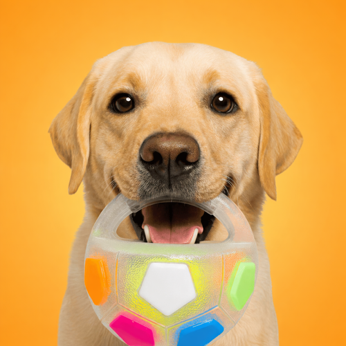 Μπάλα Αντι-Στρες