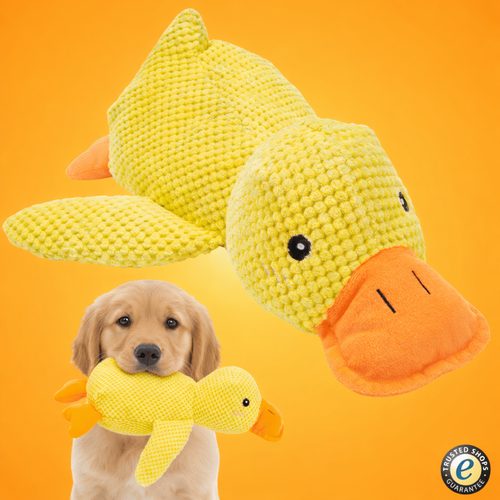 Πάπια Αντι-Στρες