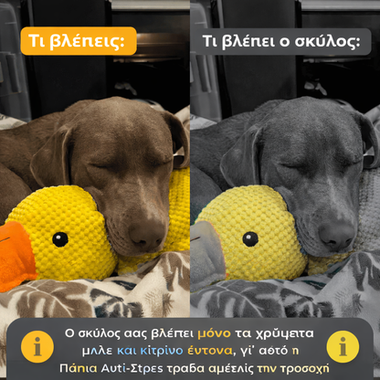 Πάπια Αντι-Στρες