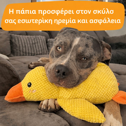 Πάπια Αντι-Στρες