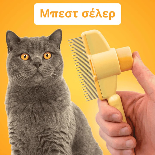 Βούρτσα Γουνοαστραπή