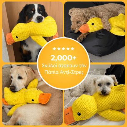 Πάπια Αντι-Στρες