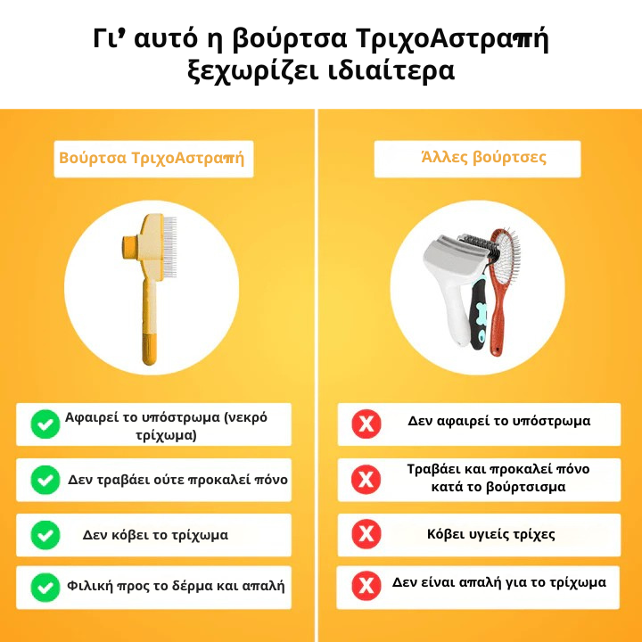 Βούρτσα Γουνοαστραπή